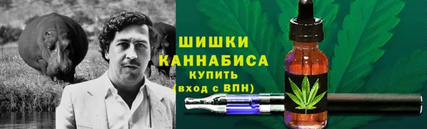 spice Покачи