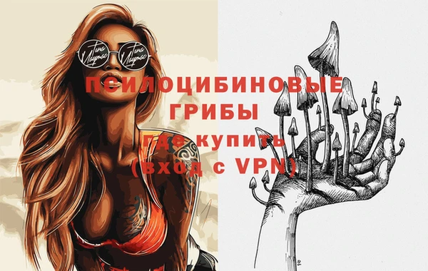 спиды Осташков